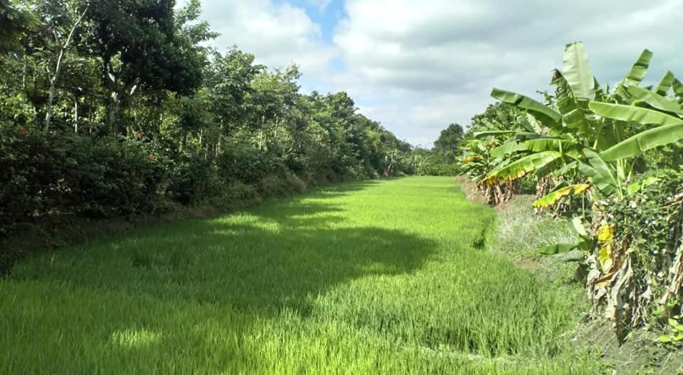 Happy Homestay Buon Ma Thuot Exterior foto